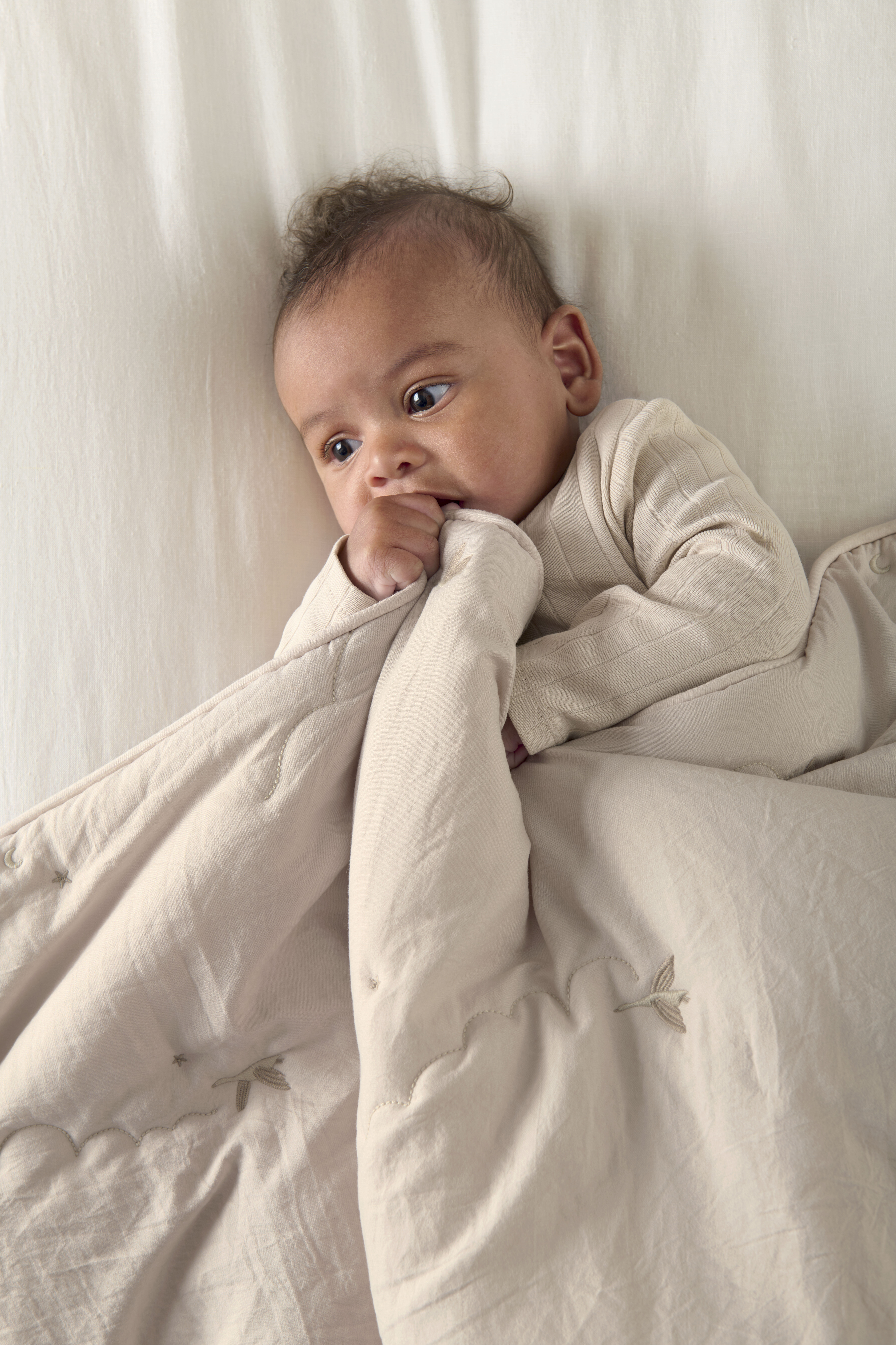 لحاف مهد - ويلكم تو ذا وورلد داكلينج image number 3