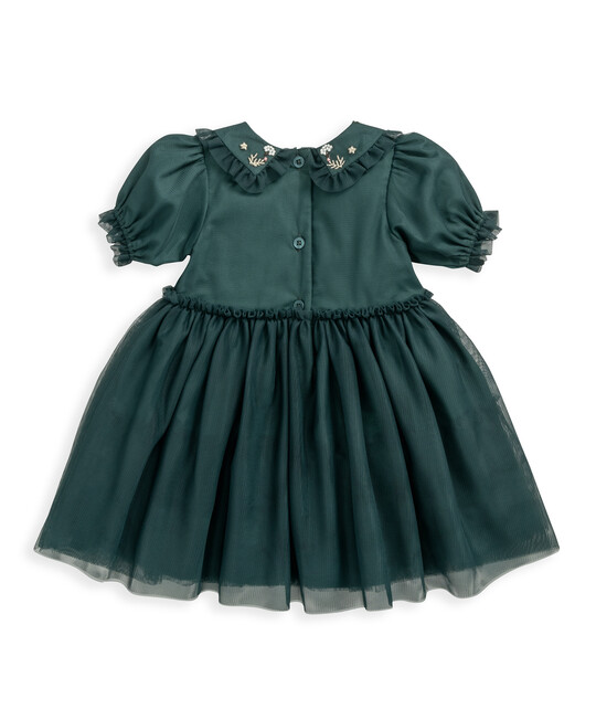 فستان قماش شبكي مطرز فستان قماش شبكي مطرز image number 3