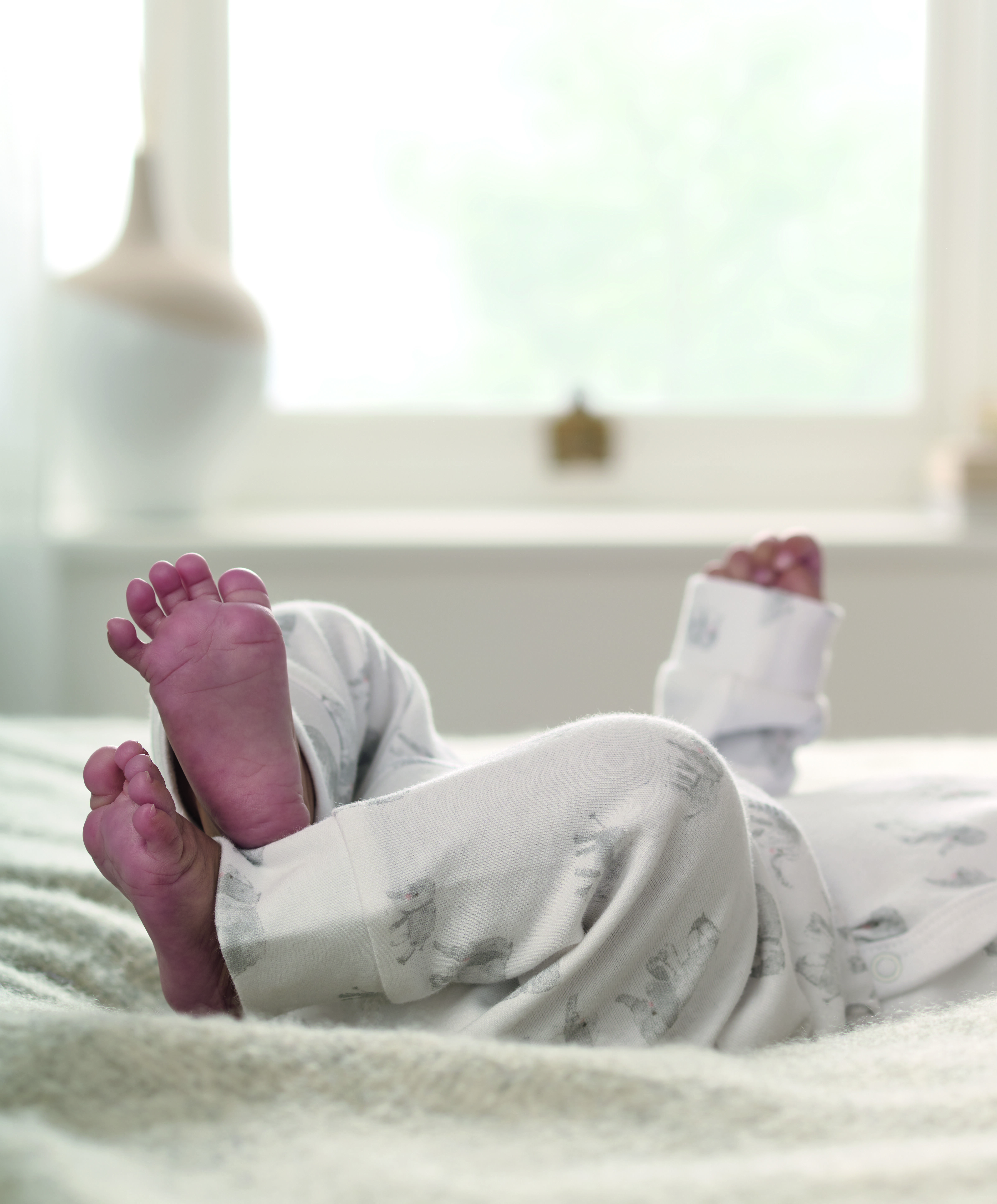 طقم جيرسيه بنقشة فيل- قطعتان image number 6