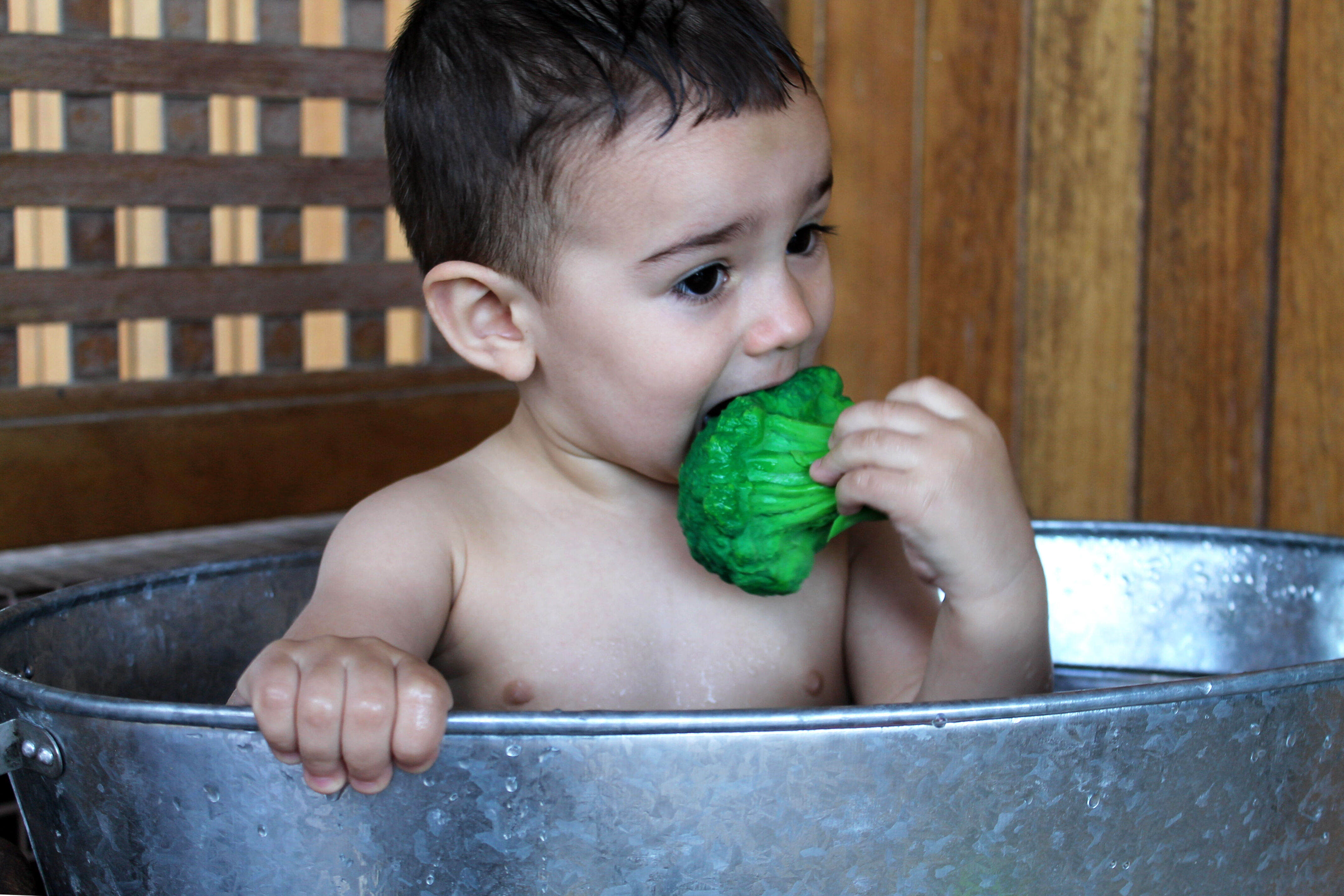 لعبة بتصميم البروكلي بروسي من أولي اند كارول image number 5