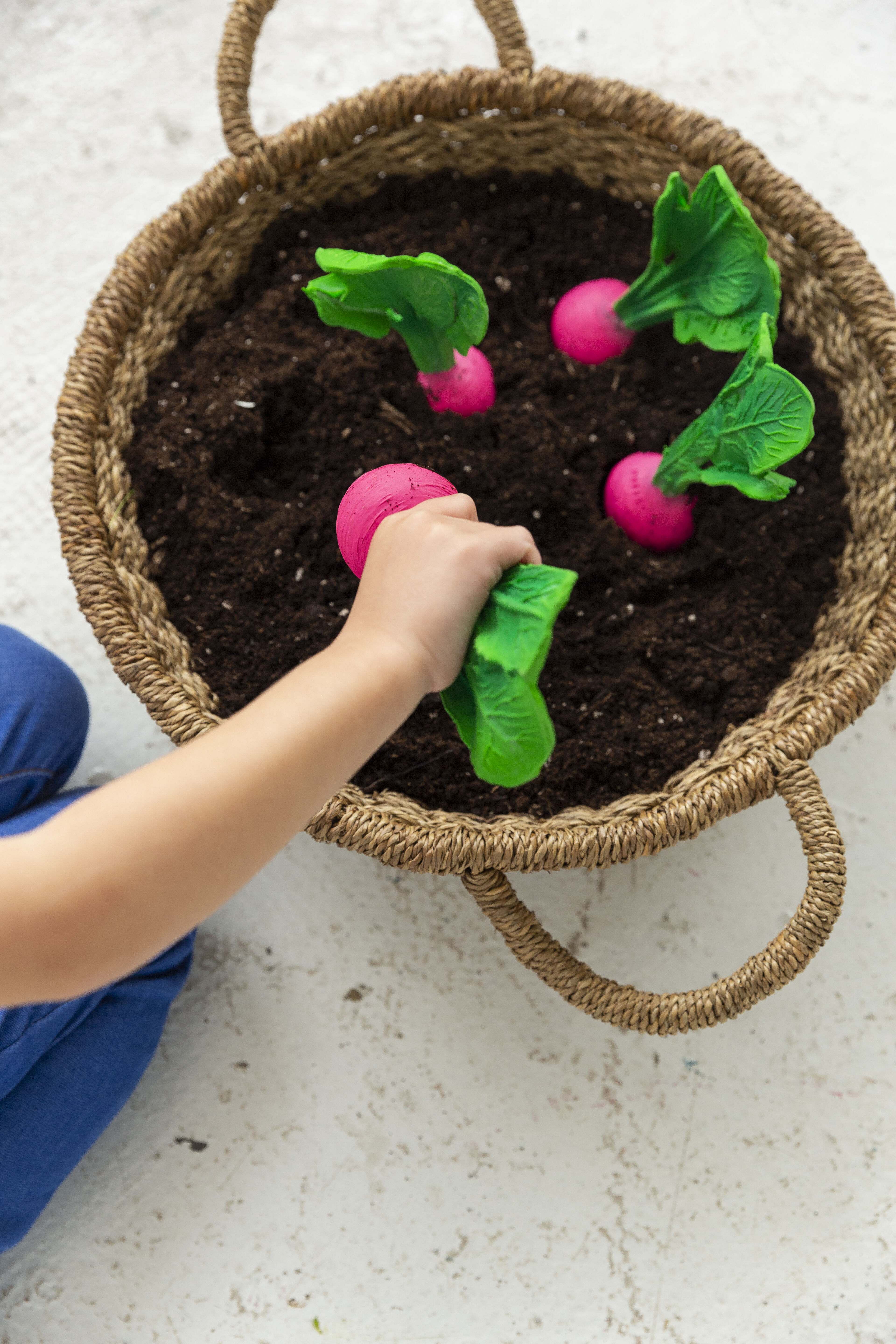 لعبة بتصميم الفجل رامونا من أولي اند كارول image number 4