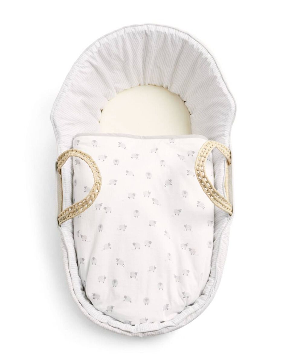 سلة موسى - شيب أند مي image number 1