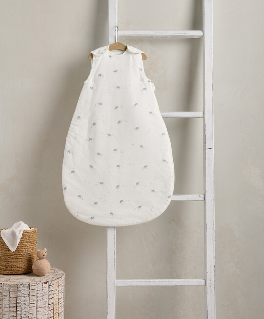 كيس نوم دريم بود للأطفال منذ الولادة حتى 6 شهور بنقشة سلحفاة - معدل دفء 2.5 كيس نوم دريم بود للأطفال منذ الولادة حتى 6 شهور بنقشة سلحفاة - معدل دفء 2.5 image number 1