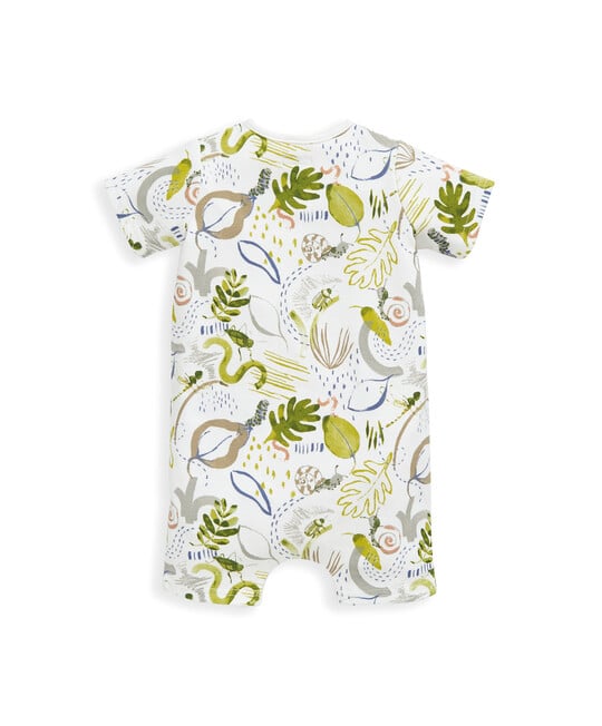 رومبر بنقشة حلزون رومبر بنقشة حلزون image number 2