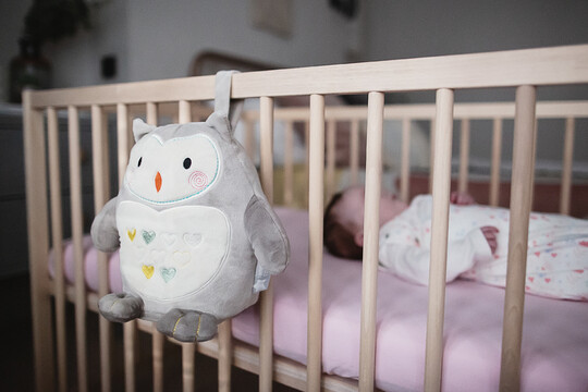 دمية قابلة لإعادة الشحن تصدر صوت وضوء للمساعدة على النوم من تومي تيبي بتصميم البومة أولي دمية قابلة لإعادة الشحن تصدر صوت وضوء للمساعدة على النوم من تومي تيبي بتصميم البومة أولي image number 5