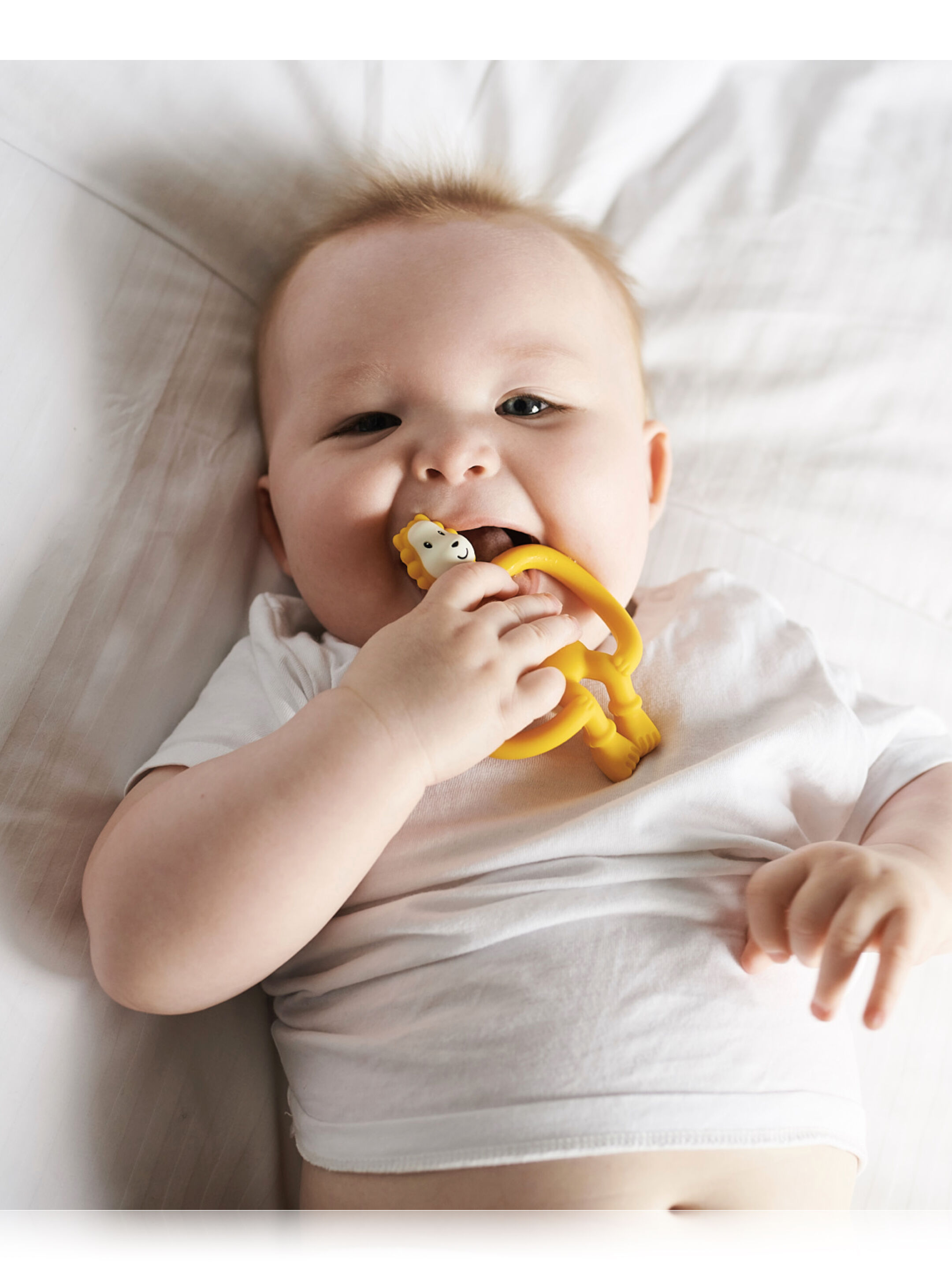 حلقة تسنين بتصميم أسد من ماتشستيك مونكي image number 1